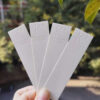 Perfume Blotters/Testing Strips