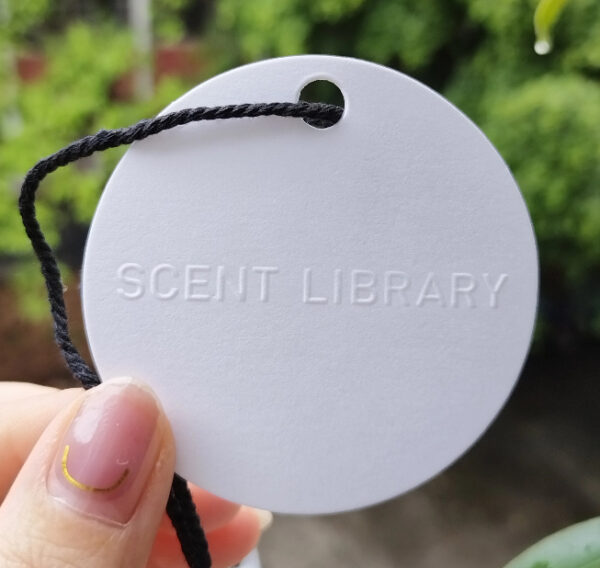 Perfume Blotters/Testing Strips