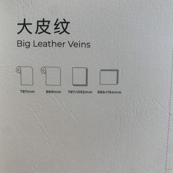 IMG_5116 Leather Pattern
