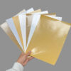 IMG_5269 Coated Paper