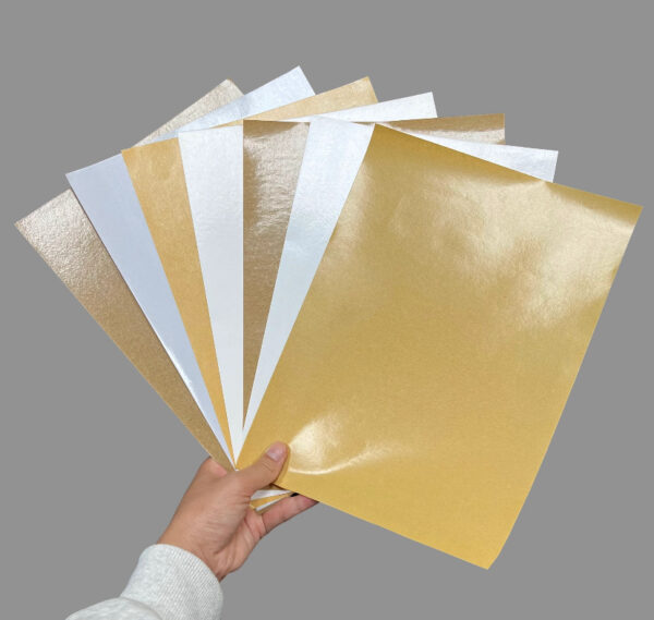 IMG_5269 Coated Paper