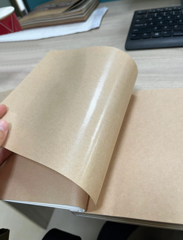 IMG_5273 Coated Paper