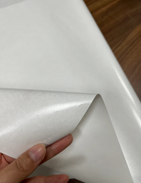 IMG_5274 Coated Paper