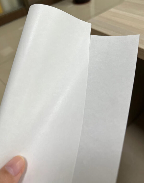 IMG_5289 Coated Paper